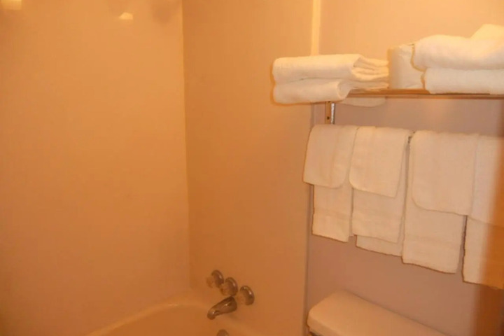 RODEWAY INN
