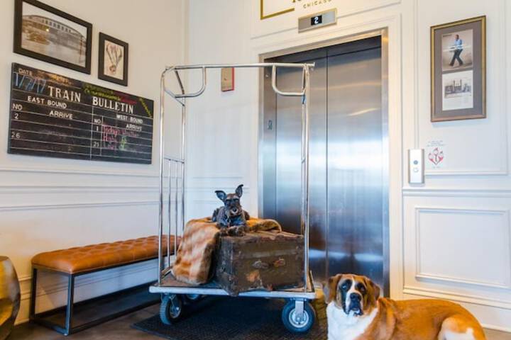 The Guesthouse Hotel