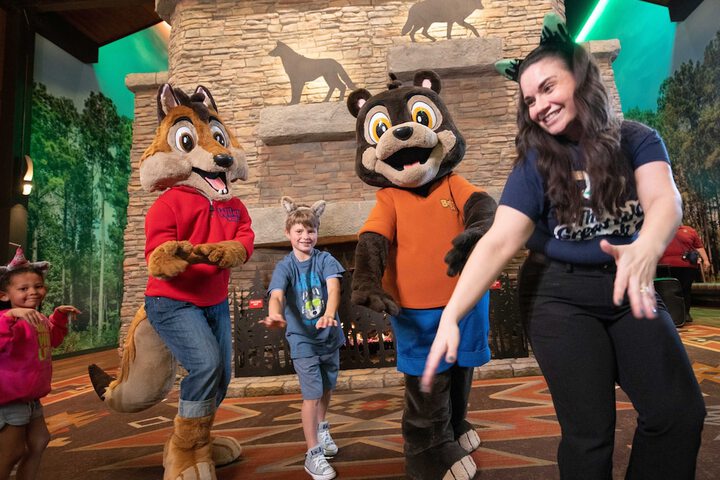 Great Wolf Lodge Concord