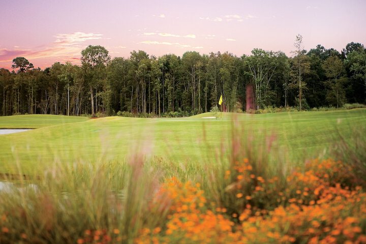 Golf 87 of 100