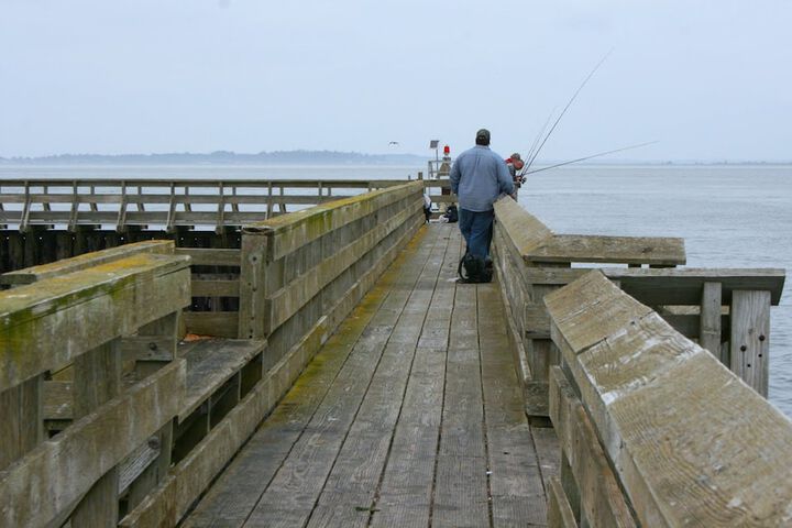 Islander Westport