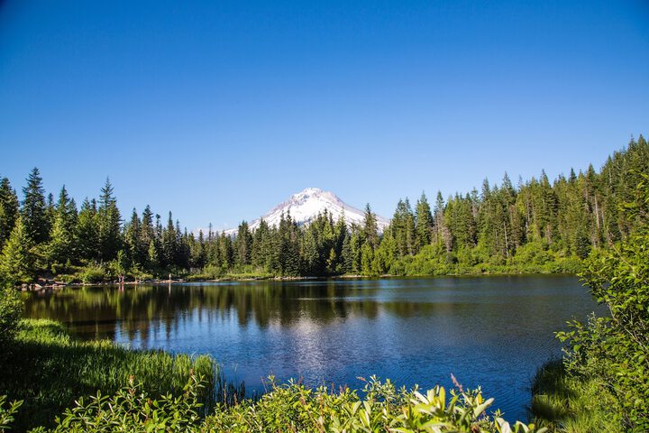 Mt Hood Village RV Resort