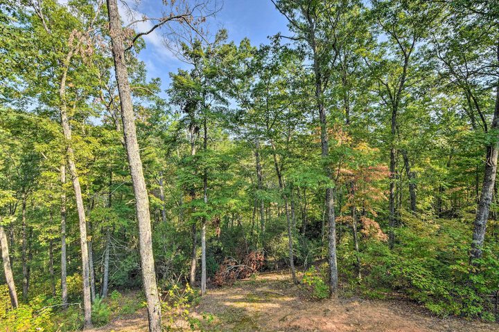 Secluded Cabin w / Deck 13 Miles to Downtown Murphy