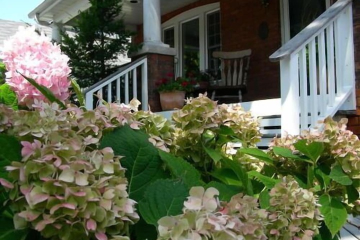 Simcoe Suites on the Henley B & B