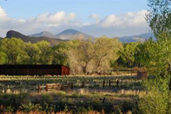 AppleLodge Bed and Breakfast