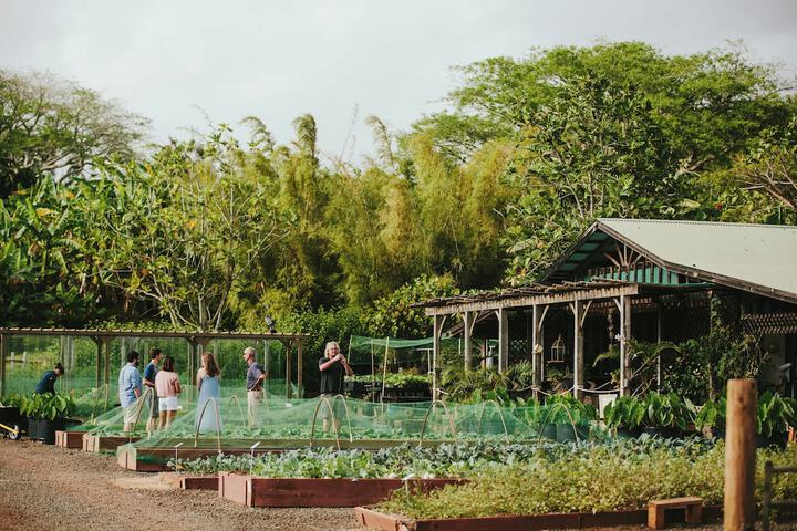 The Lodge at Kukui’ula