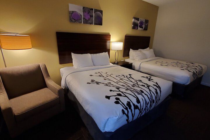 Room 43 of 52