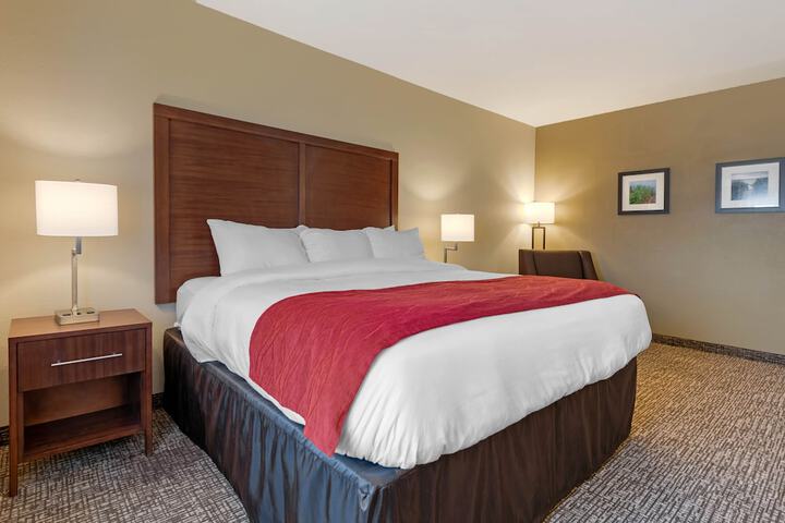 Comfort Inn & Suites Michigan City South
