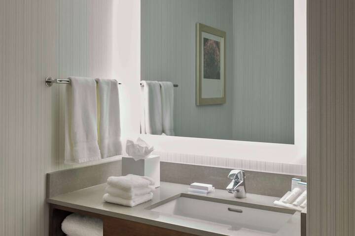 Hilton Garden Inn Long Island City New York