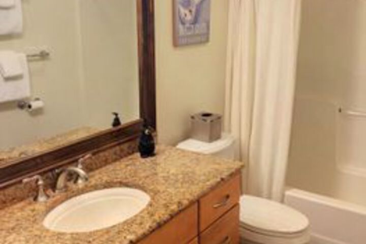 BRETTON WOODS CONDOS BY BRETTON WOODS VA