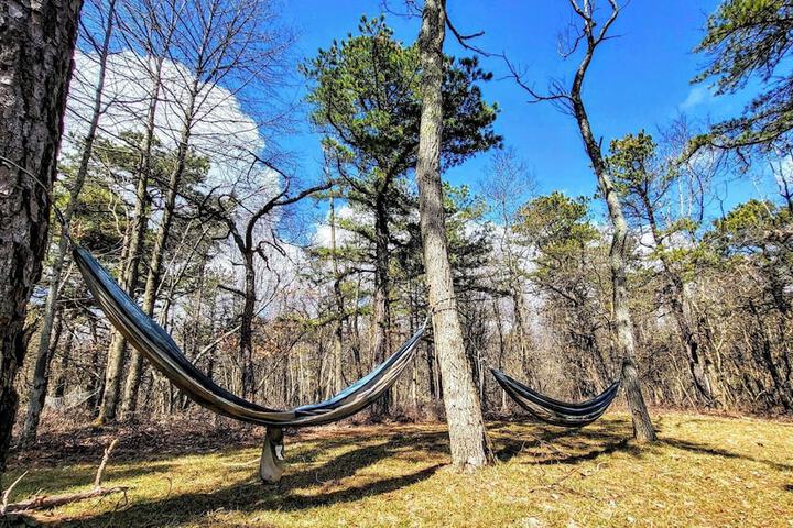The Wooden Nest by Avantstay Deck Big Yard w / Hammocks & Fire Pit