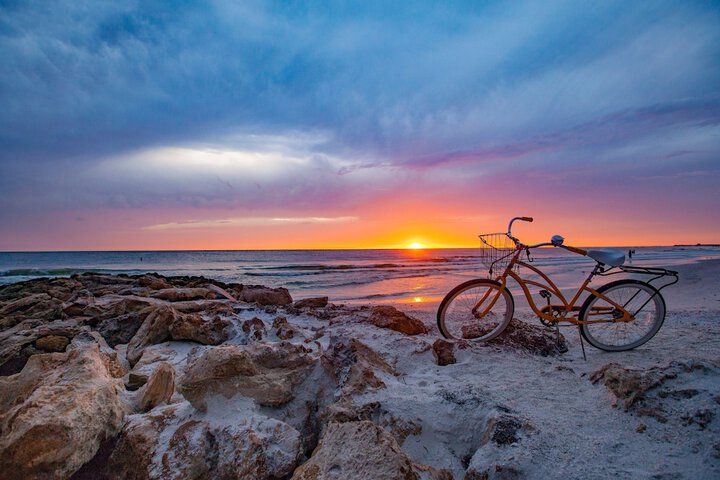 Anna Maria Island Beach Palms 5B