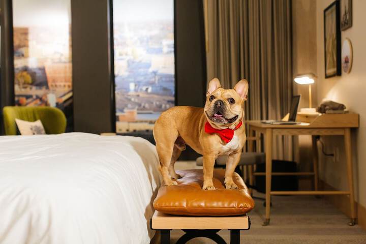 Pet Friendly 65 of 70