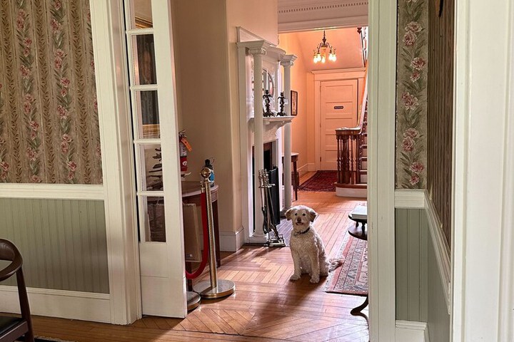 Pet Friendly 67 of 79