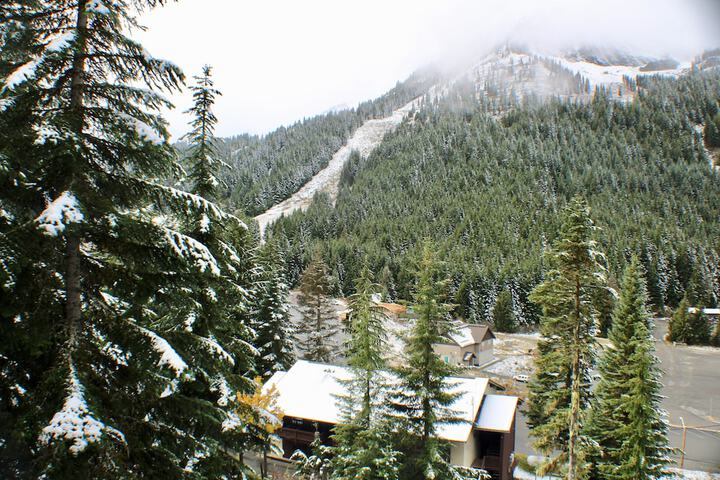 Crystal Chalets Condominiums at Crystal Mountain Ski Resort