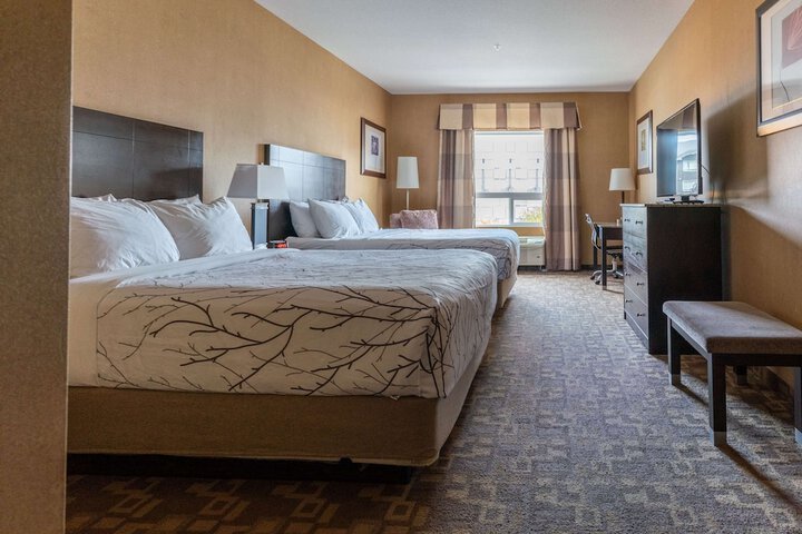 Room 15 of 52