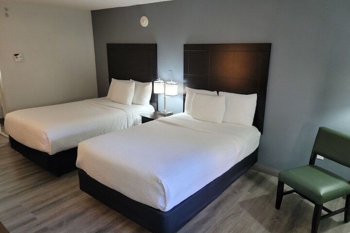 Room 31 of 56