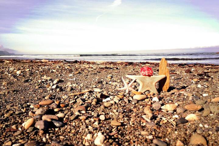 Beach 74 of 90