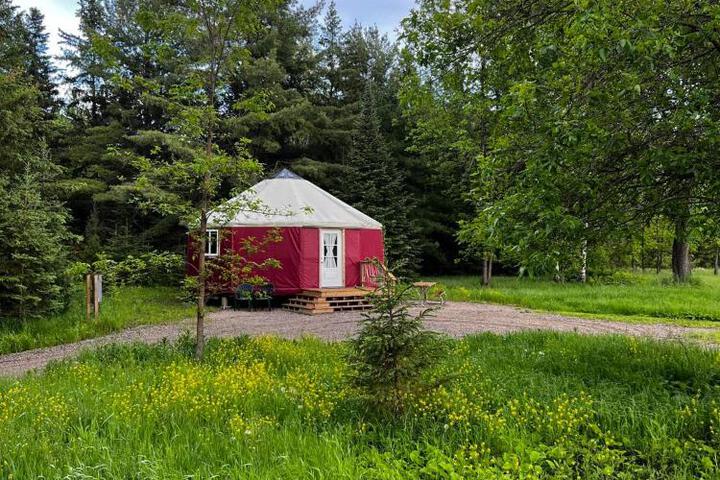 Cabin O Pines - a Family Friendly Resort