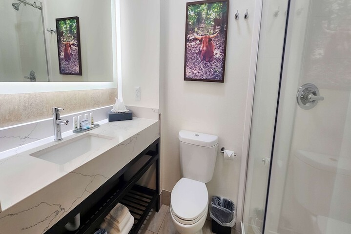 La Quinta Inn & Suites by Wyndham Dallas Mesquite