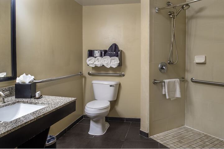 Embassy Suites by Hilton St. Louis Airport