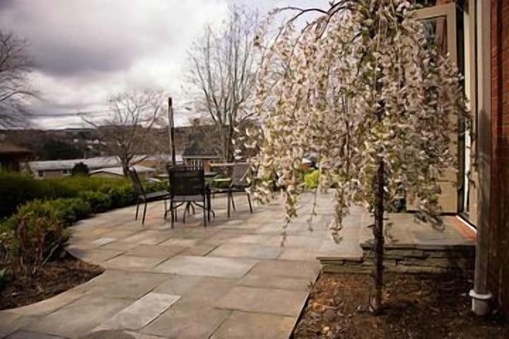 Terrace/Patio 36 of 41