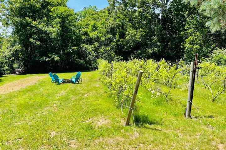 Newly Renovated Carriage House Near Town & Beaches