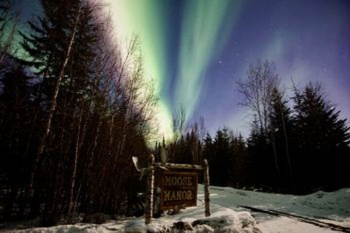 Fairbanks Moose Manor B & B