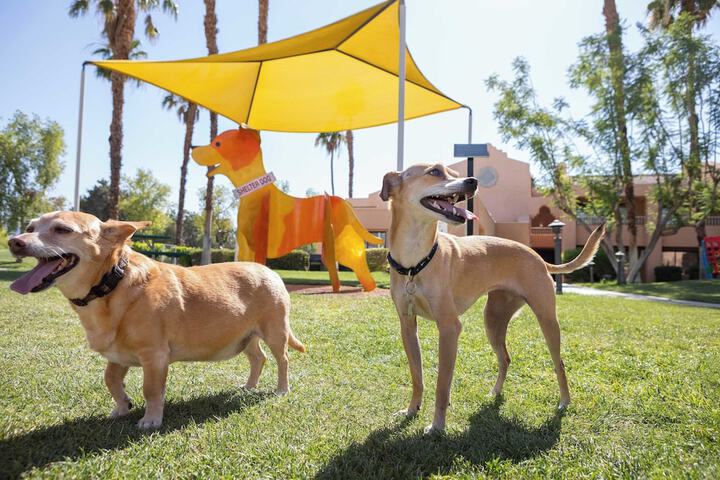 The Westin Rancho Mirage Golf Resort & Spa