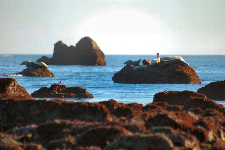 Beach 47 of 55