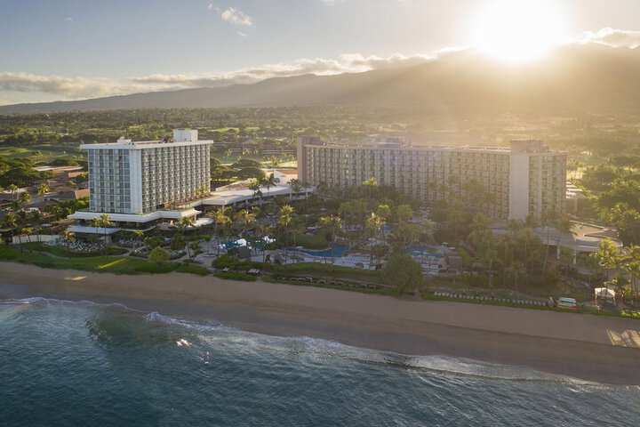 Hotel 4 of 247