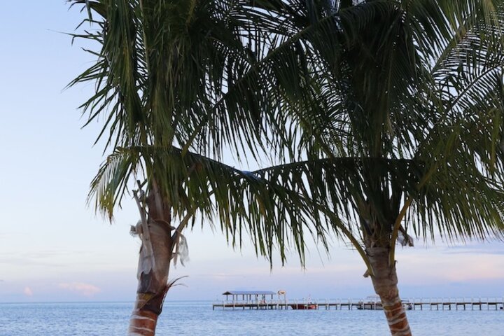 Beach 50 of 76