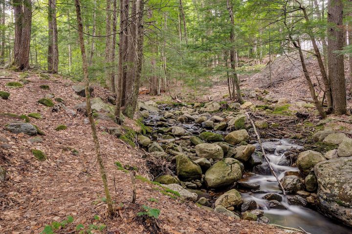 Mid-century Tenney Mountain Condo Near Hiking