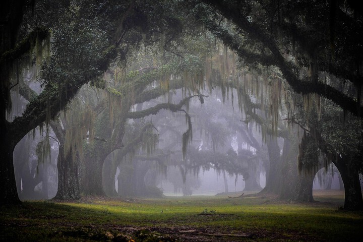 Greenwood Plantation B & B