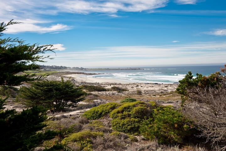 Beach 50 of 57