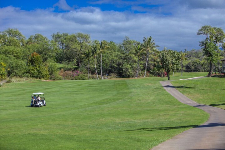 Golf 53 of 59