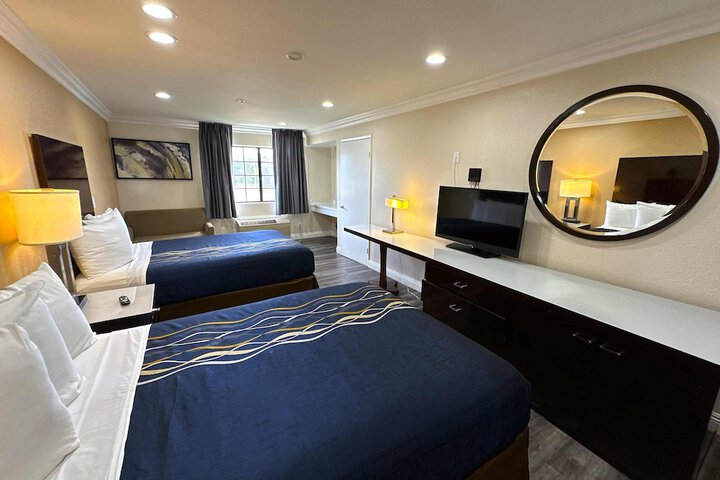 Room 11 of 11