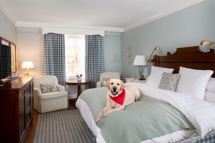 Room 106 of 187