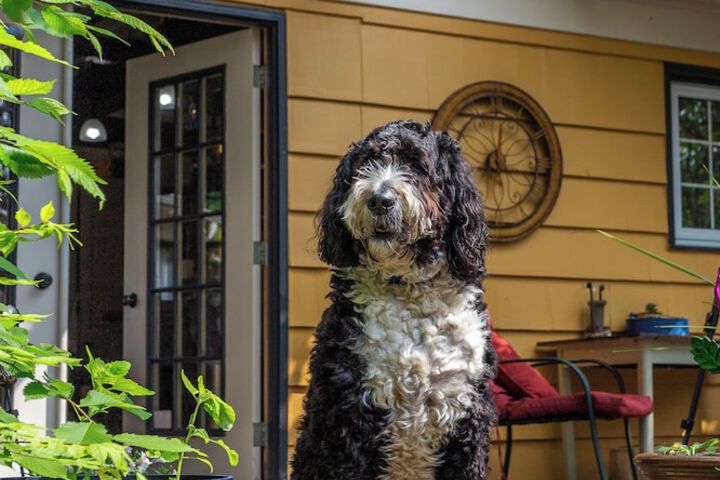 The Stella Rose B & B