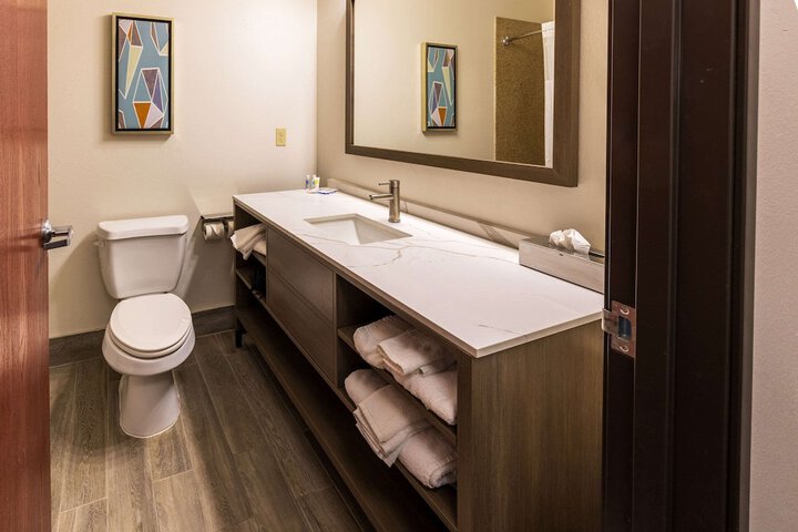 Comfort Inn & Suites New Iberia - Avery Island