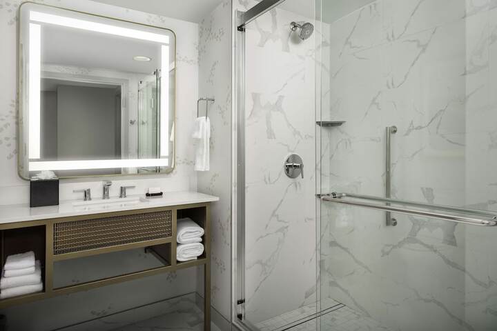 Embassy Suites by Hilton Dulles North Loudoun