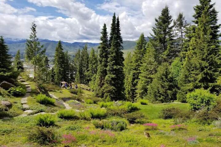 Hilton Garden Inn Wenatchee