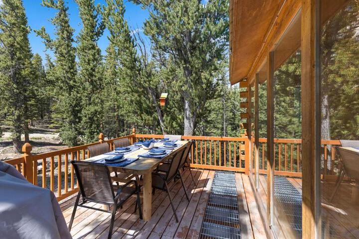 Relaxing Alpine Oasis - Minutes from Breckenridge
