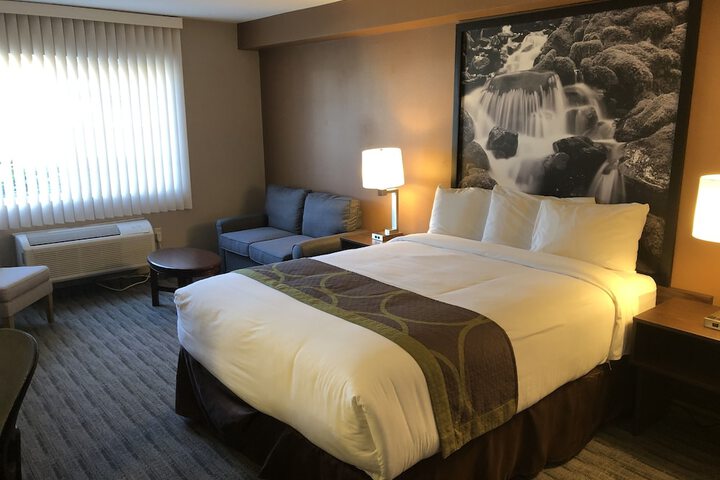 Room 12 of 14