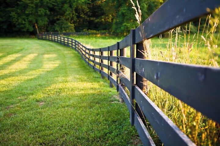 Pillow and Paddock B & B