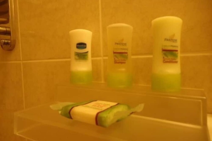 Relax Inn Elmira