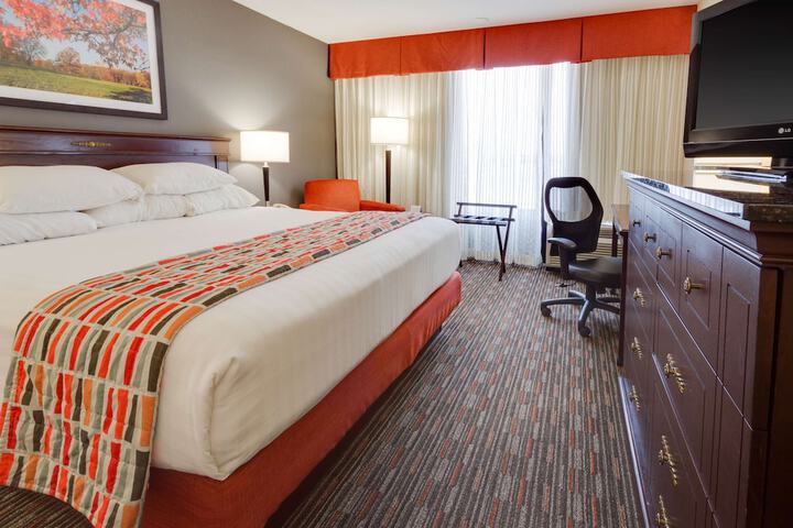 Room 15 of 31