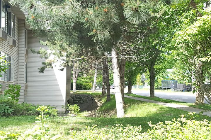Property Grounds 57 of 63
