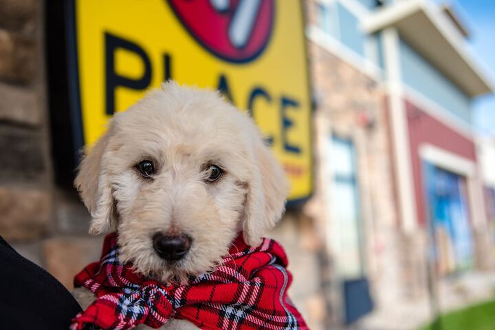 Pet Friendly 34 of 35