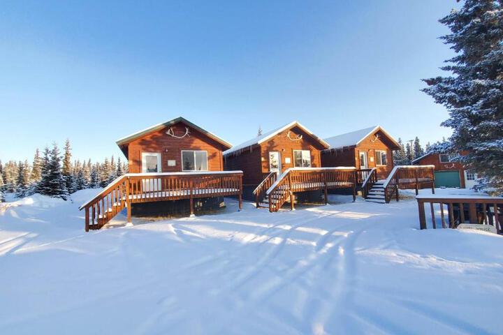 Denalis Alaskan Spruce Cabins